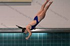 Women's Diving  Wheaton College Women’s Diving vs Mount Holyoke College. - Photo by Keith Nordstrom : Wheaton, Swimming & Diving